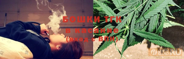 молекула духа Белокуриха
