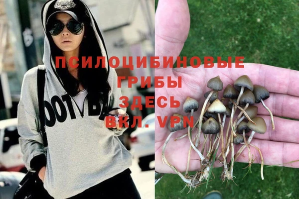 стафф Белоозёрский