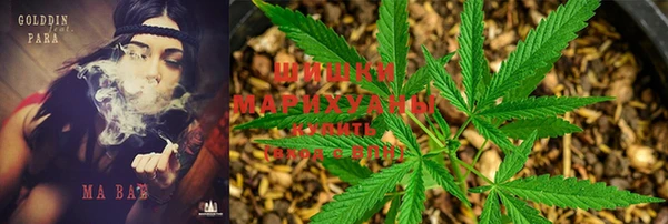 стафф Белоозёрский