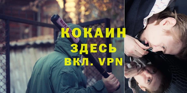 молекула духа Белокуриха