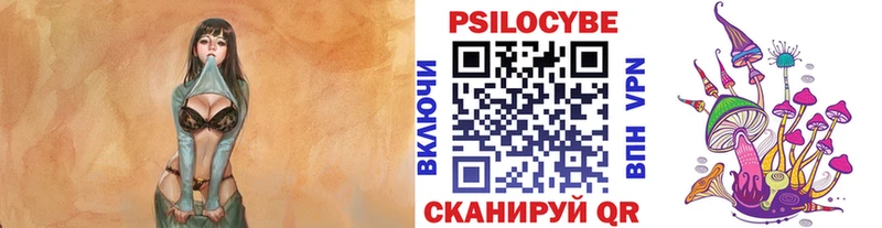 Купить  Кологрив  Псилоцибиновые грибы прущие грибы 